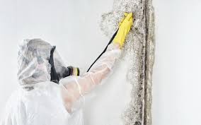 Mold Remediation for Vacation Homes in Post, TX